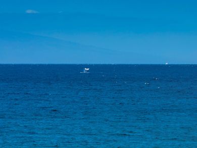 Stunning Maui Island Luxury Two Bedroom Condo Ocean Views